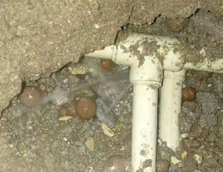 桃城卫生间测漏