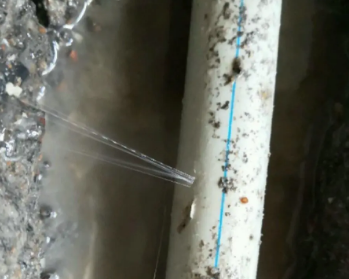 桃城卫生间测漏水多少钱