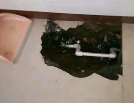 桃城卫生间测漏水多少钱