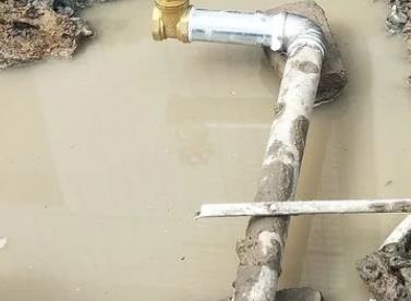 桃城测漏水公司电话